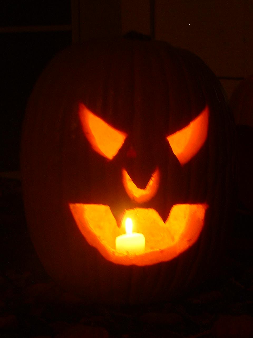 Pumpkin 2008