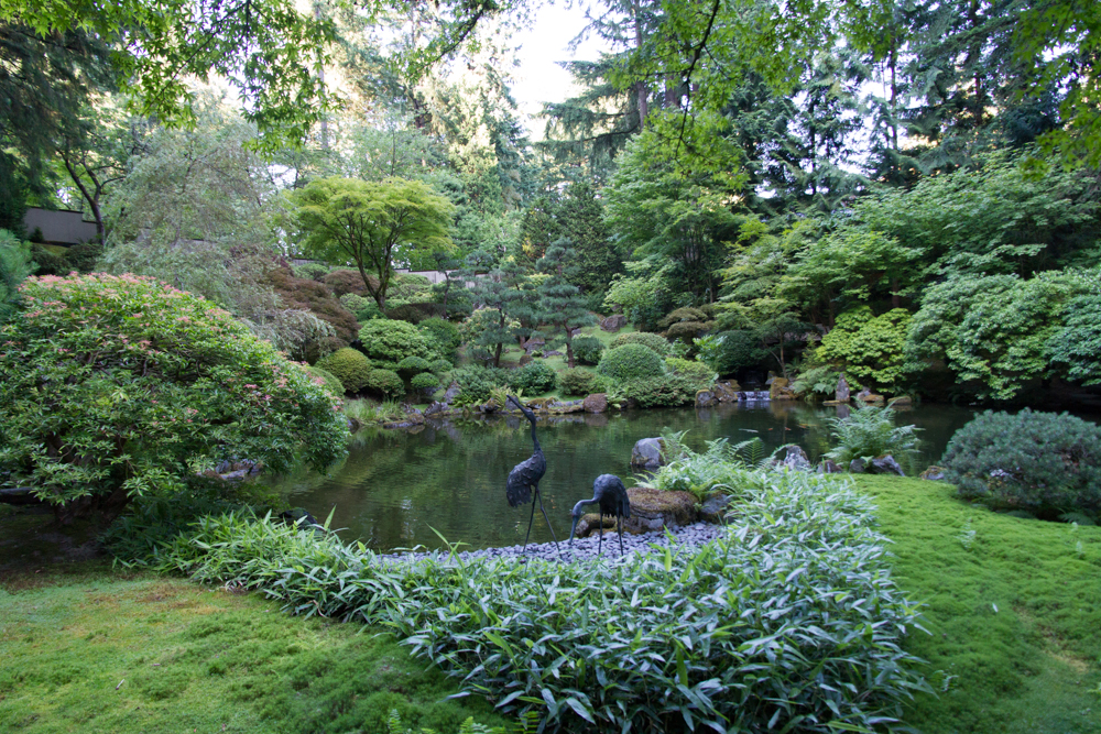 Japanese Garden