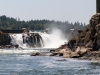 Willamette Falls