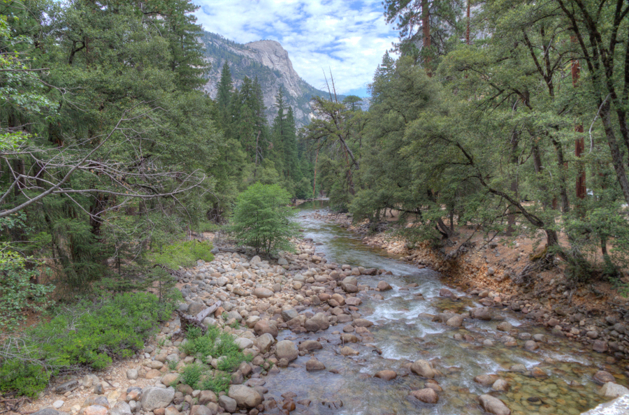 Yosemite Creek